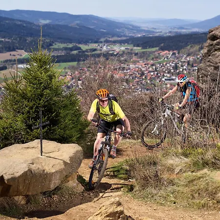 Natura Hotel Bodenmais - inkl Soft- und Heißgetränkeflat-2
